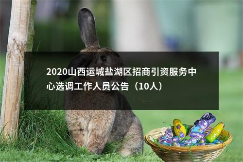 2020山西运城盐湖区招商引资服务中心选调工作人员公告（10人） 图片